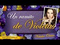 Natalia Oreiro - Un ramito de violetas с переводом (Lyrics ...