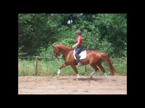 ELVIS 7j. v. Edward - Ravallo VB 10.000,- Euro