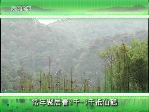 廣州墓園