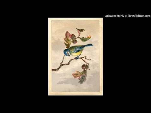 [Free] BADBADNOTGOOD / Tyler, The Creator / Interlude Type Beat - "4$ale"