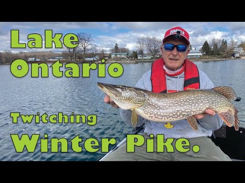 20240319 Lake Winter Pre-spawn Pike Action.
