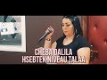 Cheba Dalila - Hsebtek Niveau Tale3 avec AMINE LA COLOMBE (AVM EDITION) 2018 شابة دليلة