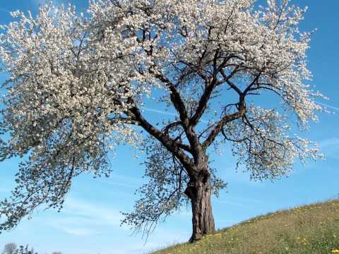 innoirea omului- (va urma) Mitropolit Bartolomeu Anania