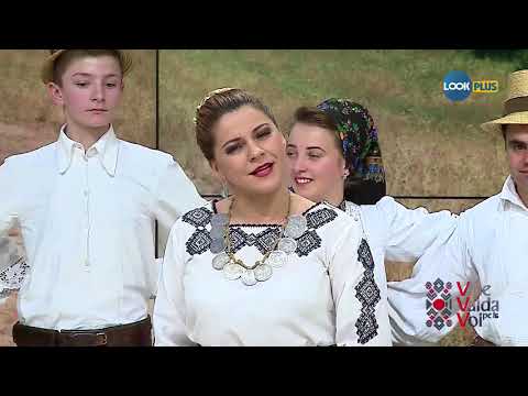 Felicia Stoian - Am plecat, mamă, în lume