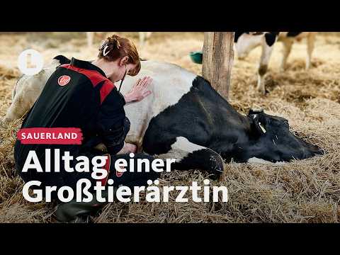 Ein Tag unterwegs mit der Großtierärztin | WDR Lokalzeit LandSchafft