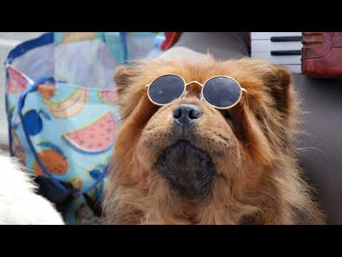 Play video on YouTube