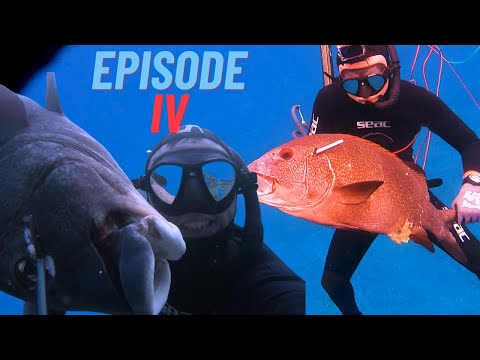 2 GIANT SWEETLIPS, GIANT TREVALLY in 1 DAY!! AMAZING SPOT! Spearfishing Mapun Episode IV