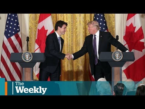 download lagu mp3 mp4 Wendy Mesley, download mp3 Wendy Mesley free download, download mp3 Wendy Mesley