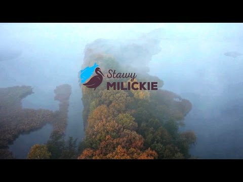 Stawy Milickie - Witaj w Krainie Niezwykłości