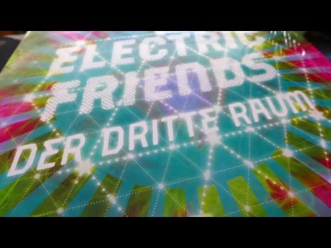 Electric Friends Vinyl Mix DDR 014