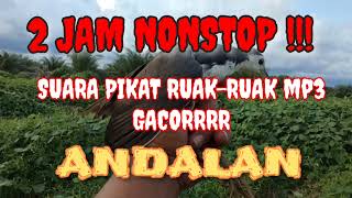 Download lagu Suara Ruak Ruak Pikat Ampuh Banget | Mp3 suara pikat ruak ruak gacor #masterpikat #pikatruakruak mp3