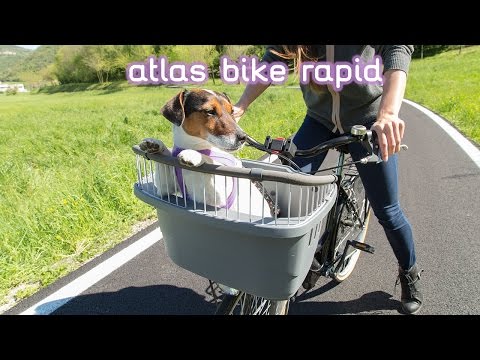 Контейнер Ferplast ATLAS BIKE 20 RAPID для перевозки животных на велосипеде, 47×35,5×34,5 см
