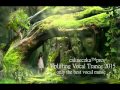 calineczka™pres.VA-Uplifting Vocal Trance 2015 ...