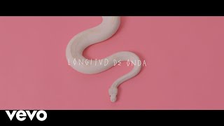Longitud de Onda Music Video