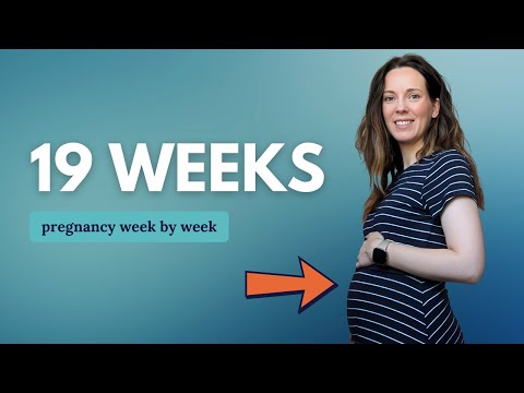 19 Weeks Pregnant 🤰 What to Expect: Changes for You & Baby Movement
