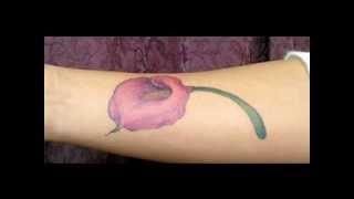 Calla lily tattoo design