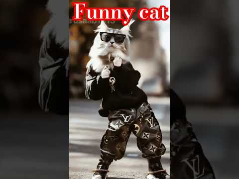 Funny cat dance 😆😁#shorts #shortsvideo#cutecat