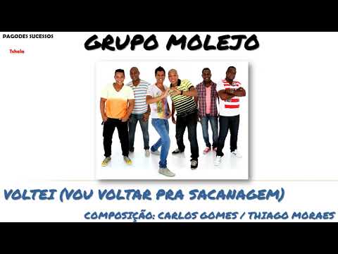 Voltei (Vou Voltar Pra Sacanagem) - Grupo Molejo