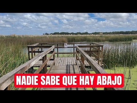 MUELLE DE LA AXIÓN - General Lavalle