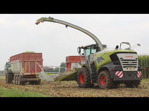 CLAAS JAGUAR 980 SPECIAL EDITION | FENDT, CLAAS, JOHN DEERE, LANDINI | Trinciato Mais | Gavazzoni
