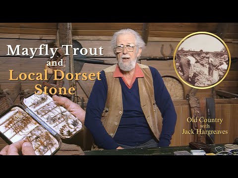 Uncovering Dorset's Ancient Secrets: A Journey Through Time