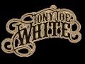 Tony Joe White - who you gonna hoo-doo now ...