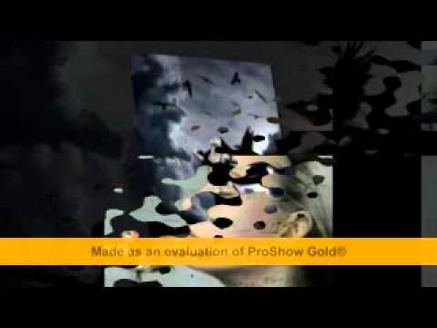 Lost at Sea - Dave Thomas Junior