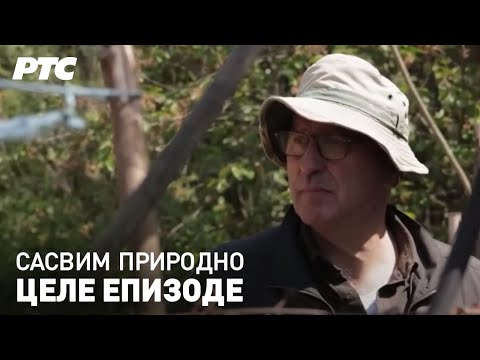 Potamišje | Sasvim prirodno (Jovan Memedović) - Cele epizode