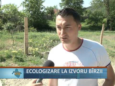 Ecologizare la Izvorul Barzii