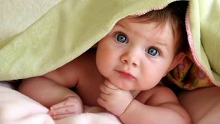 JIM REEVES   But Love Me Daddy