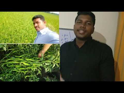 Shivakumar how to expl...