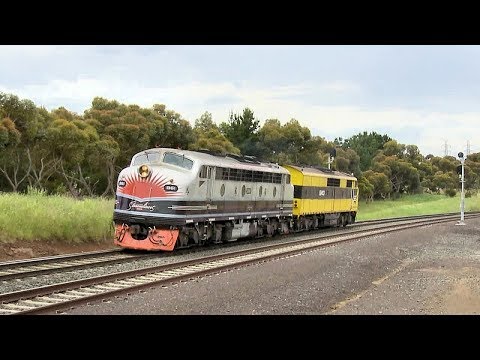 Streamlined SSR EMD Diesel Locomotives B61 & GM10 (15/11/2017) - PoathTV Australian Trains