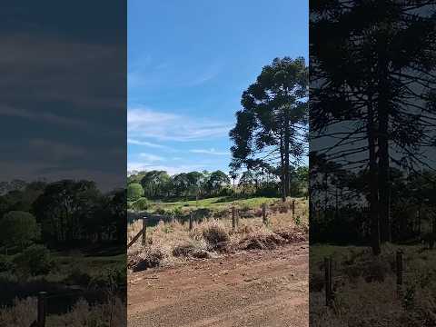 23/09/25,São Lourenço do Oeste, SC.#turismo #viagem #santacatarina #saolourençodooeste