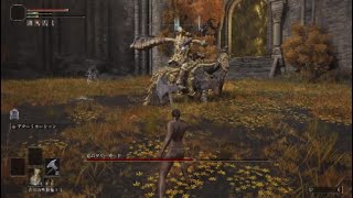[エルデンリング]竜のツリーガード　レベル１で挑む