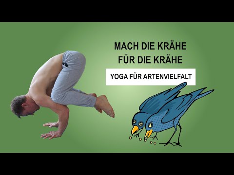 Yoga für Artenvielfalt  -  Yoga Asana Krähe - Kakasana - Crow Pose  - WWF Naturschutz
