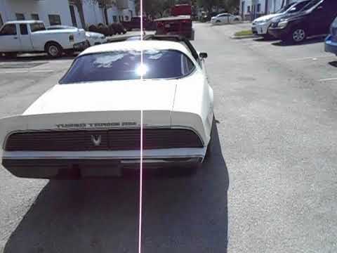 1981 Pontiac Firebird Trans Am (CC-1250654) for sale in APOPKA, Florida