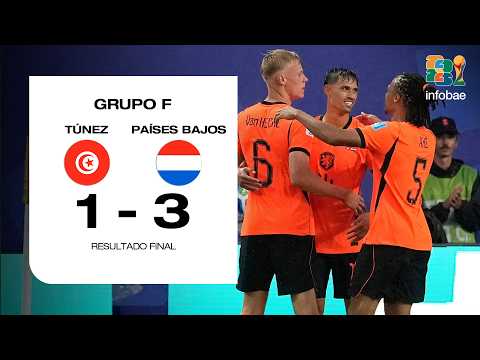 Resumen Túnez vs Países Bajos