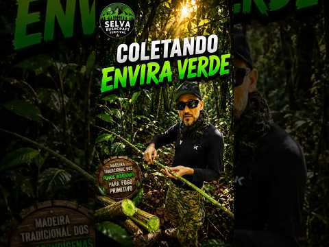Coletando Madeira ENVIRA VERDE Diretamente da Floresta Amazônica