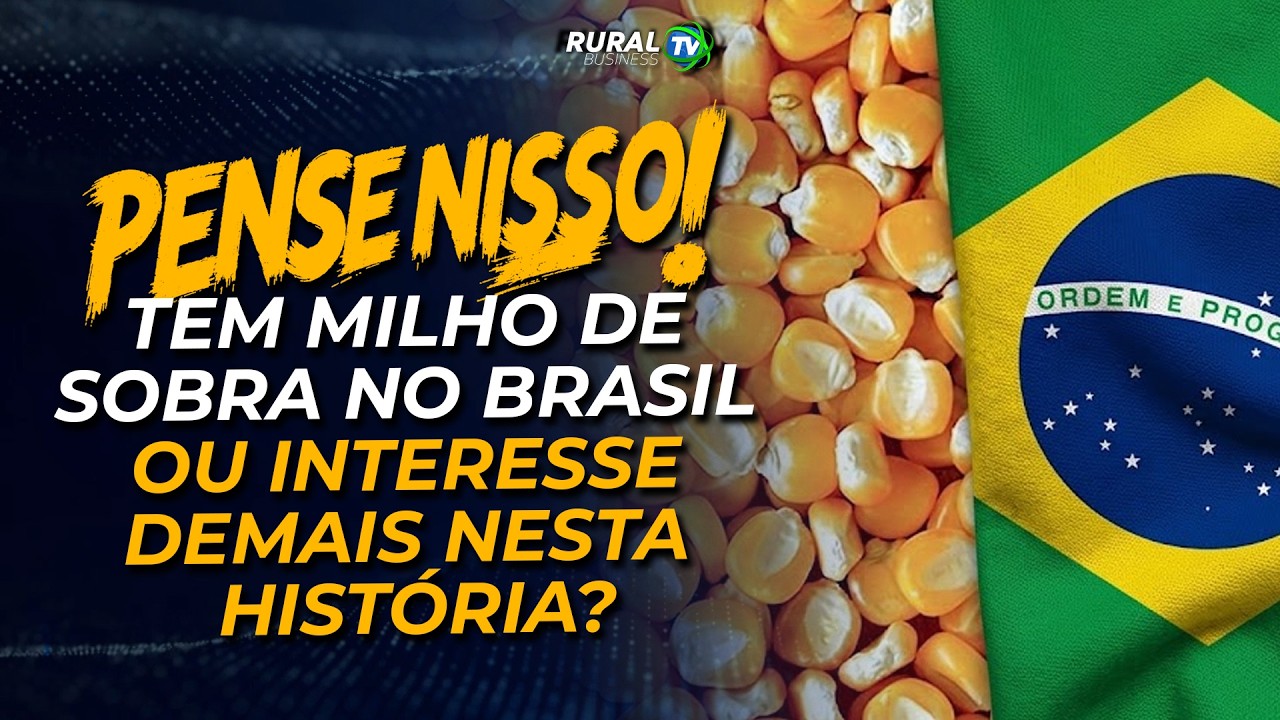 Pense nisso! Tem milho de sobra no Brasil ou interesse demais nesta história?
