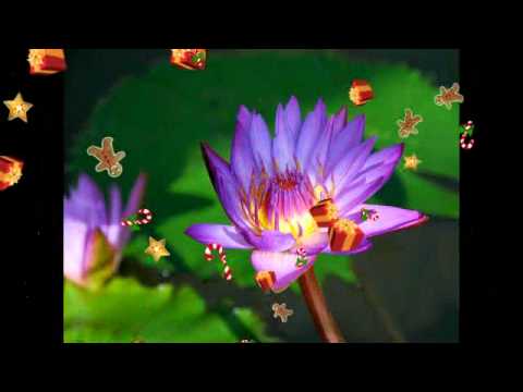 Excellos Five (1926) - Wait You´ll See My Gal