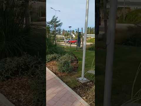 Un paseo nuevo. @LOQUESEVEENPAYSANDÚ