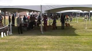 Day1- First part of BOB ring