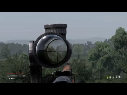 DayZ Vasily Zaitsev- The wolf shot(w/scope)