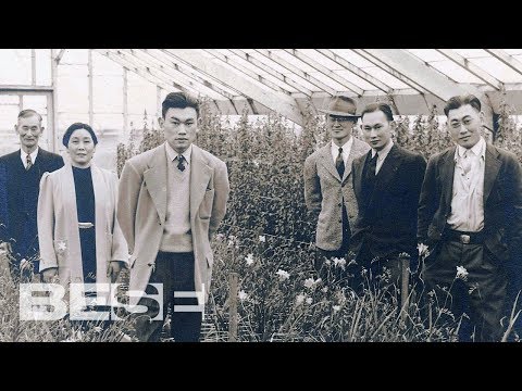 Hidden Figuras: Fred Korematsu