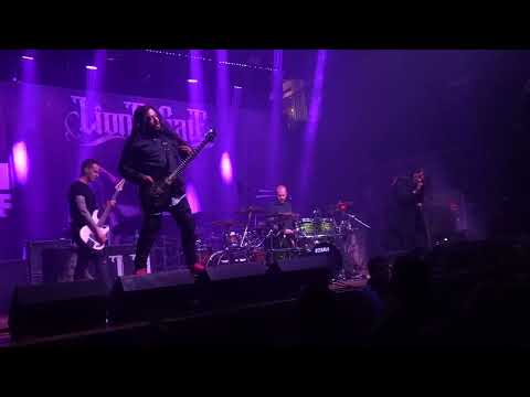 Lions At The Gate - Drain