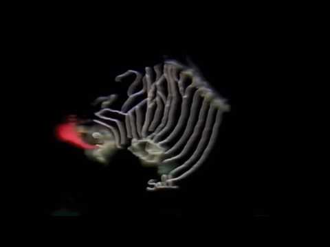 Art Attack - Series 3, Episode 4 (1992) Clip 251: Big Art Attack of Zerba