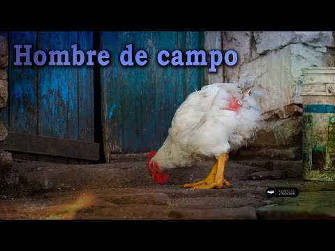 233 Luciano Pereyra, lives in El Campo (San Luis) - Ranches and Traditions