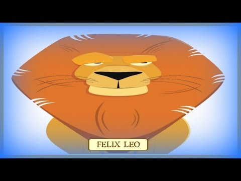 Elisa Pooli - Siamo andati alla caccia del leon - Tratto dall'album CantaAscuola