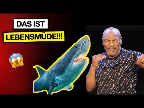 Mike Tysons neues Haustier? (Mike Tyson vs Sharks 2020)