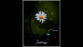 Download lagu Heart Broken ♥️ 2 line top Urdu Sad Poetry || Amazing Sad Shayari || AK Poetry Collection || mp3 Download lagu Heart Broken ♥️ 2 line top Urdu Sad Poetry || Amazing Sad Shayari || AK Poetry Collection || mp3